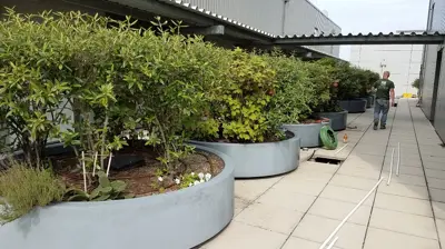 Baltmore Landmark Rooftop Irrigation