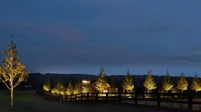 Estate Lighting by Chesapeake 5 Photo