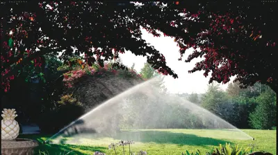 Irrigation Example Photo