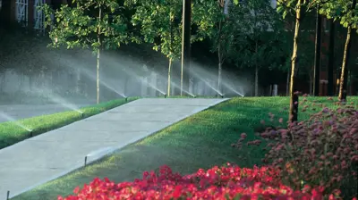 Sidewalk Sprays Photo