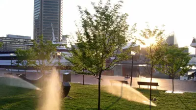 Irrigation Example Photo