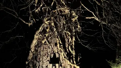 Chesapeake Lighting Photo