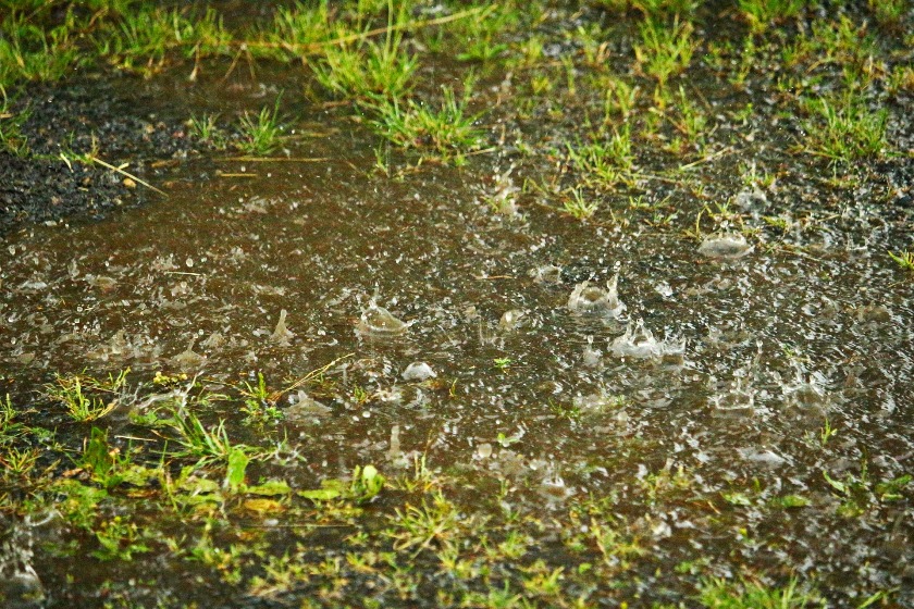 4 Ways to Rid Your Yard of Unwanted Water Using Drainage Systems